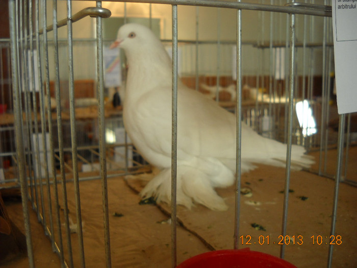 DSCN0383