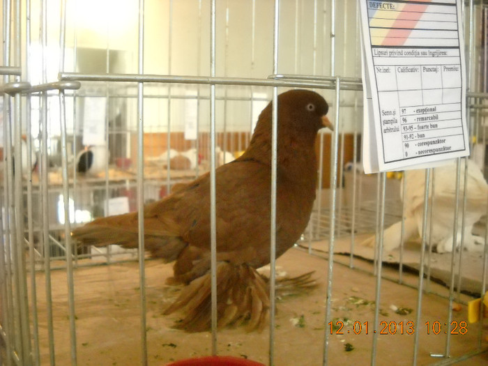 DSCN0384