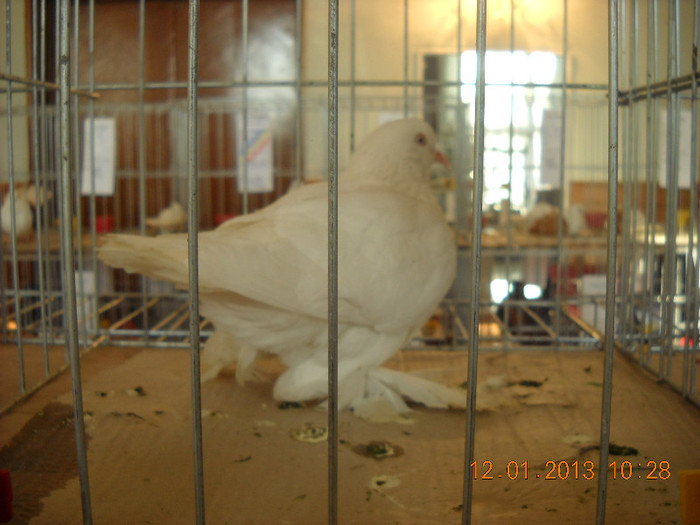 DSCN0385
