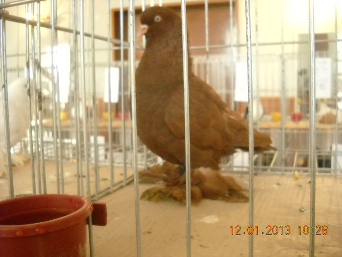 DSCN0386