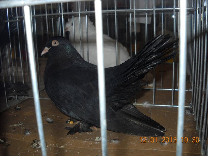 DSCN0398