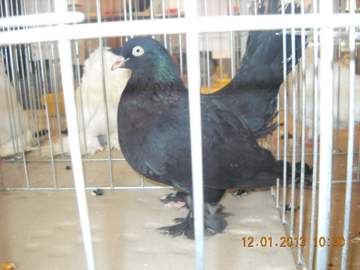 DSCN0399