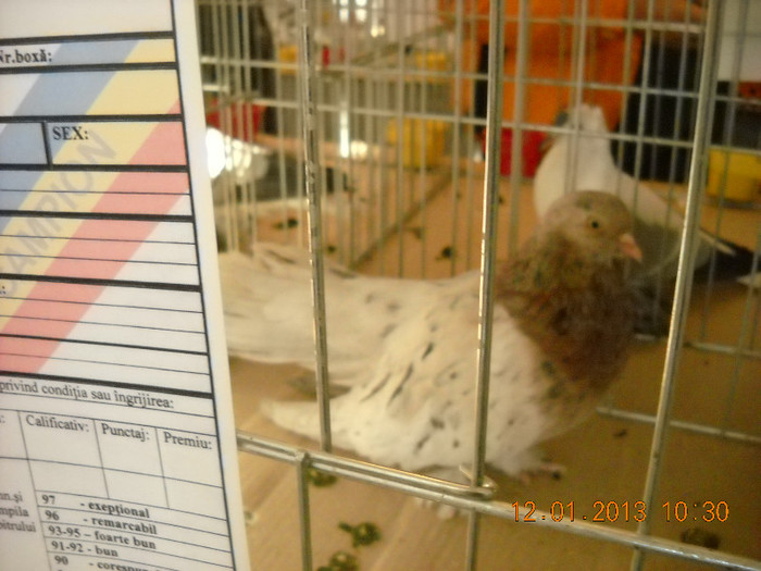 DSCN0402