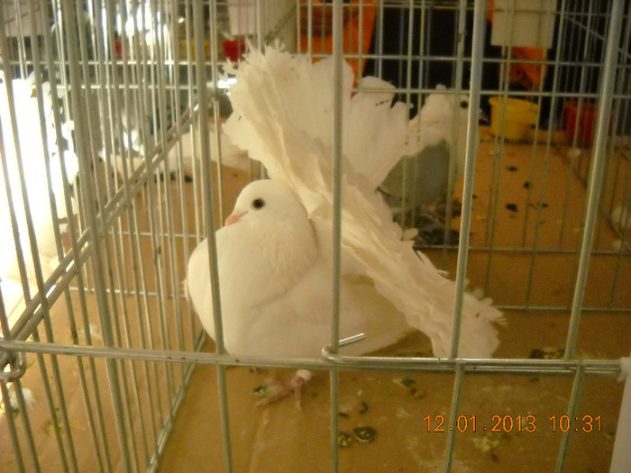 DSCN0404