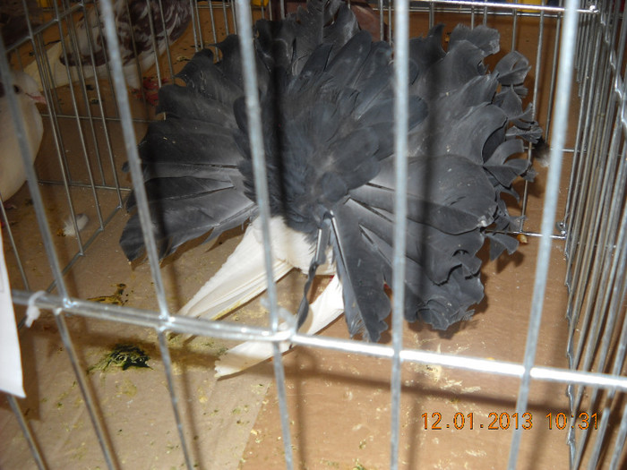 DSCN0409