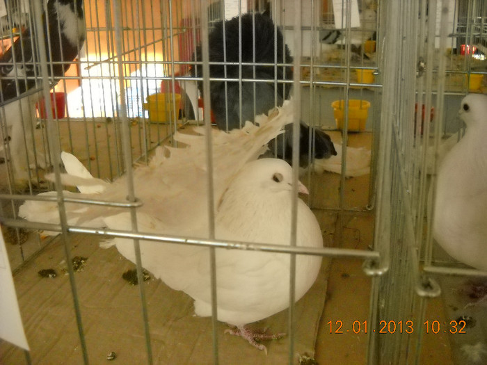 DSCN0417