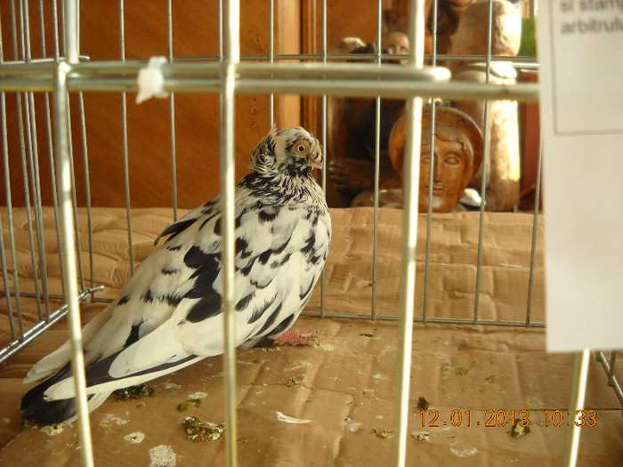 DSCN0422