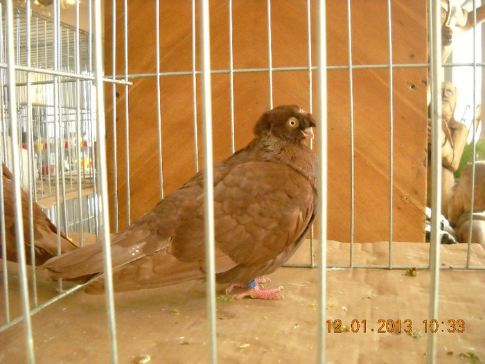 DSCN0423