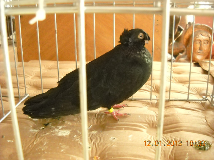 DSCN0424