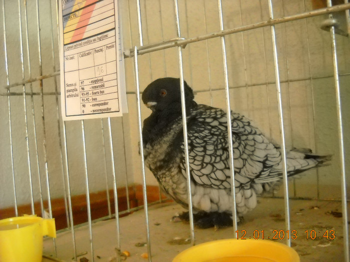 DSCN0432
