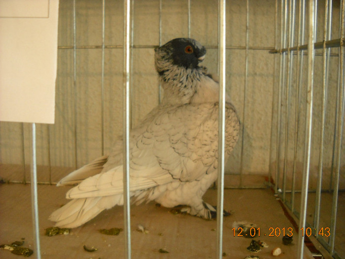 DSCN0434