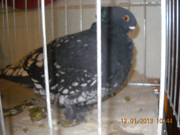 DSCN0436