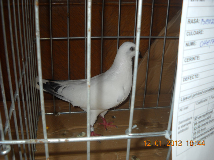 DSCN0440