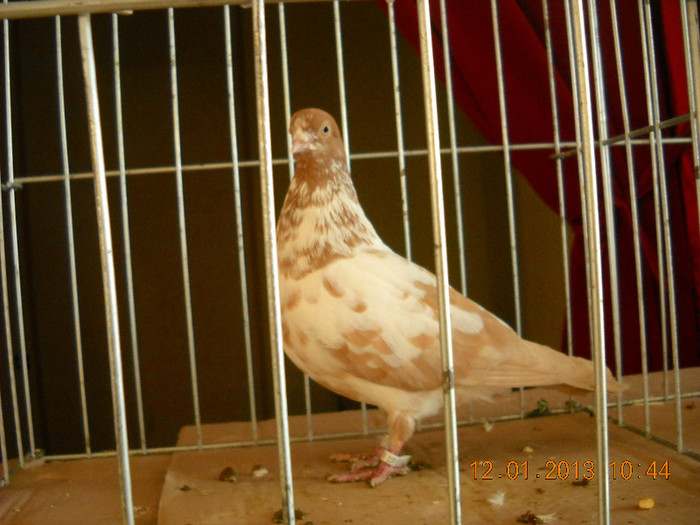 DSCN0441