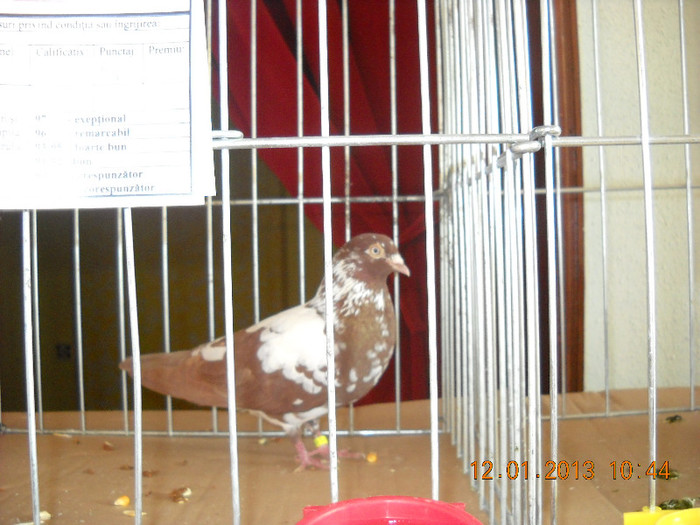 DSCN0442