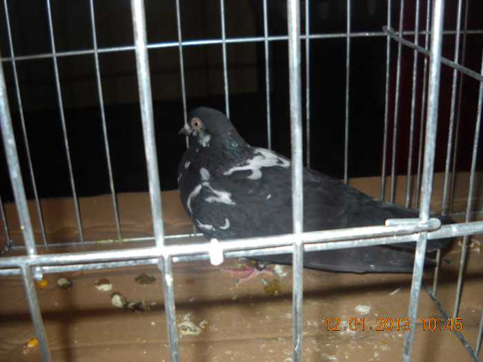 DSCN0443