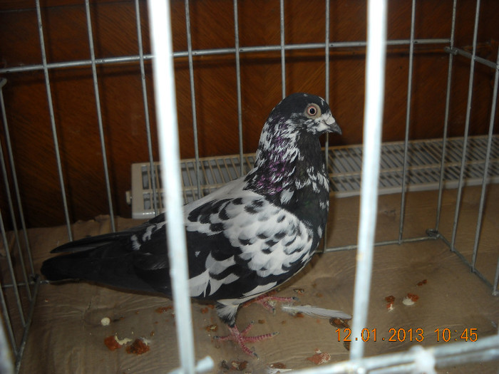 DSCN0447