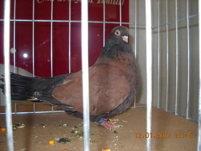 DSCN0449