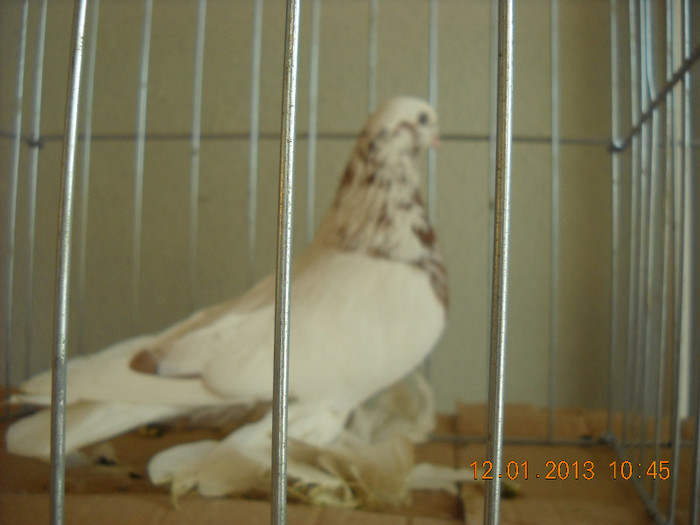 DSCN0451
