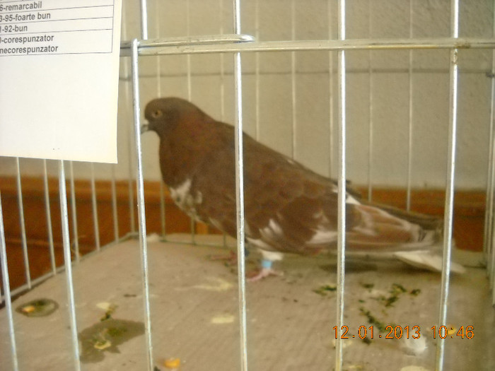 DSCN0453