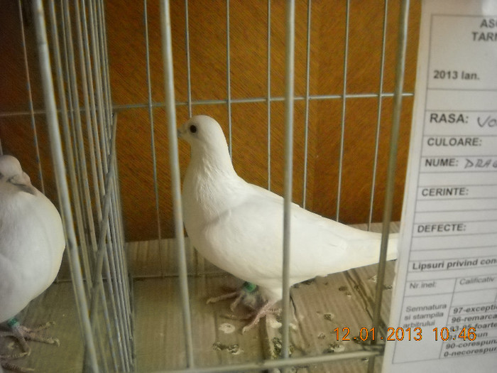 DSCN0457