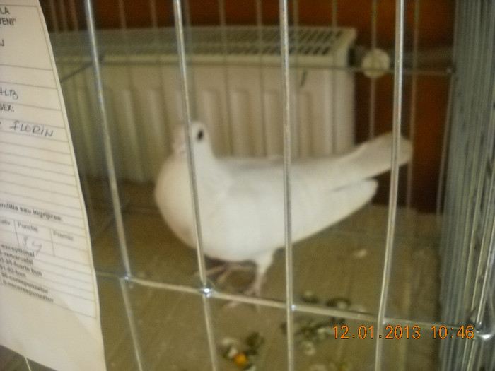 DSCN0459