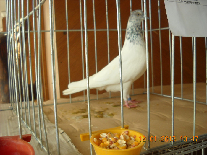 DSCN0461