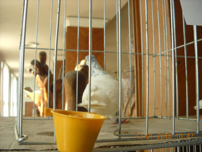 DSCN0462