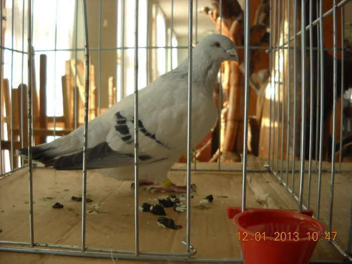 DSCN0464
