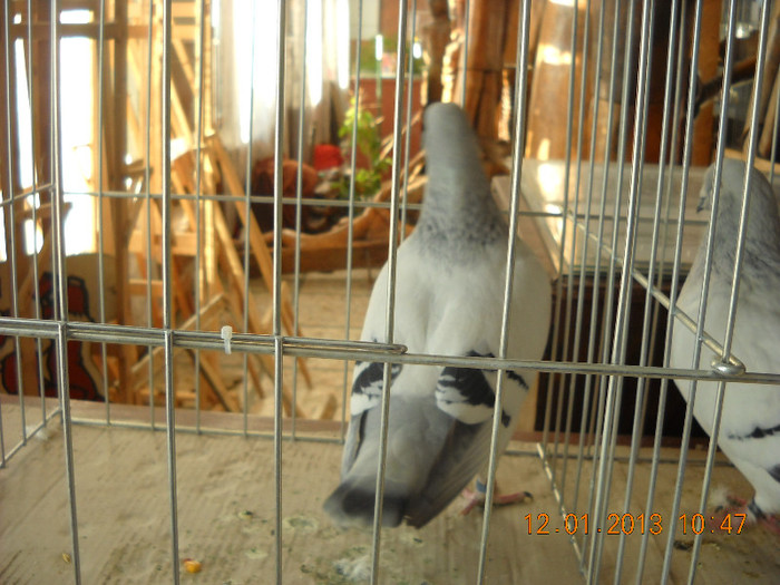 DSCN0465