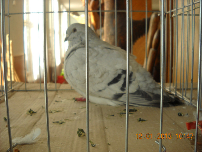 DSCN0467