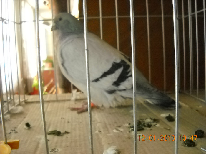 DSCN0468