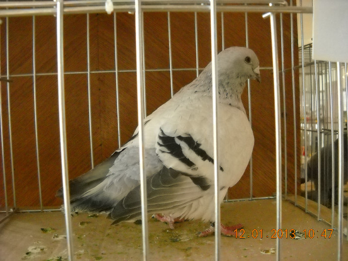 DSCN0469