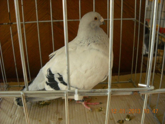DSCN0470