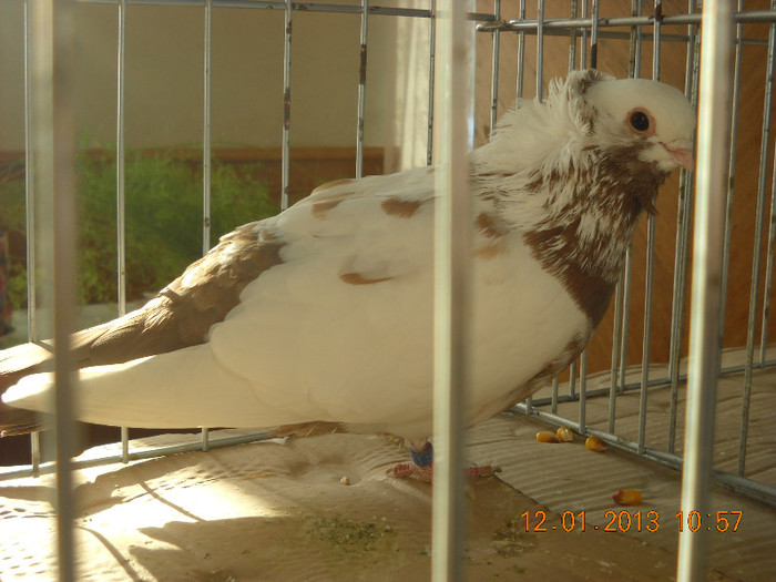 DSCN0510