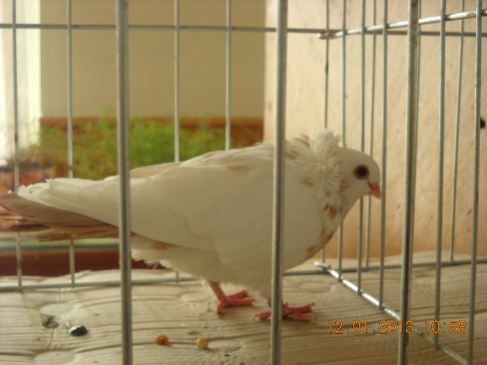 DSCN0512