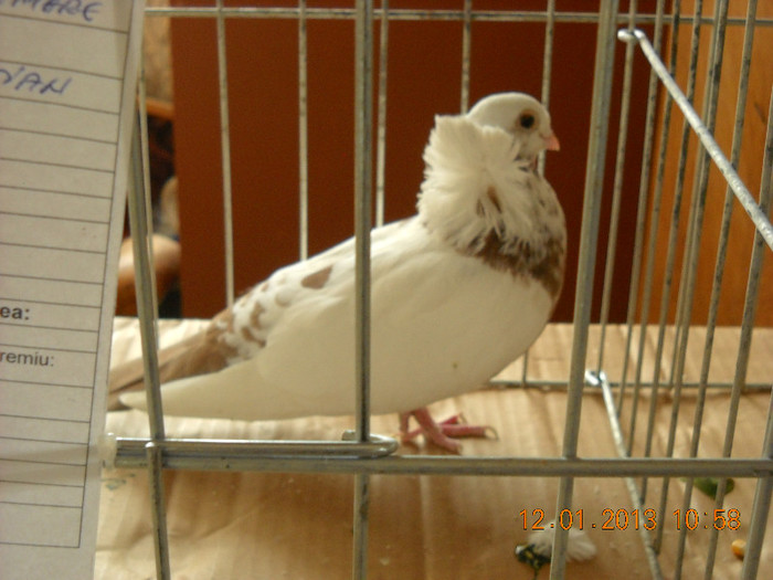 DSCN0513