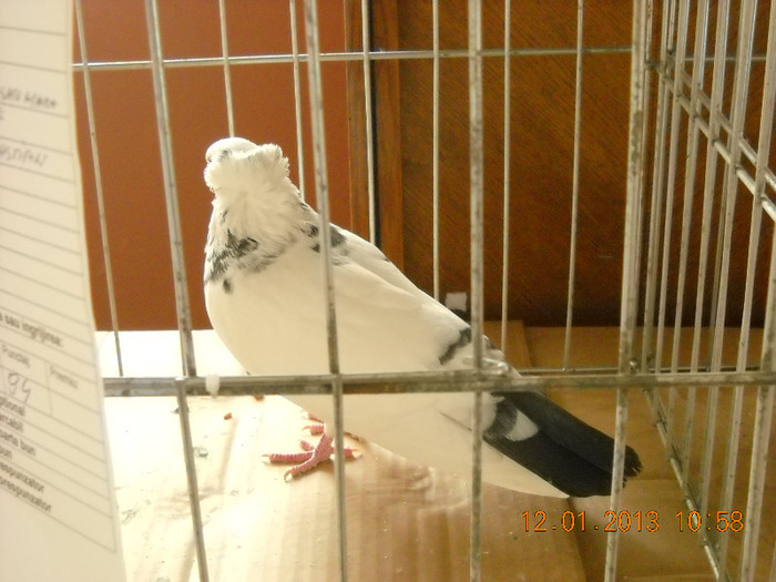 DSCN0514
