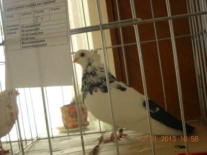 DSCN0515