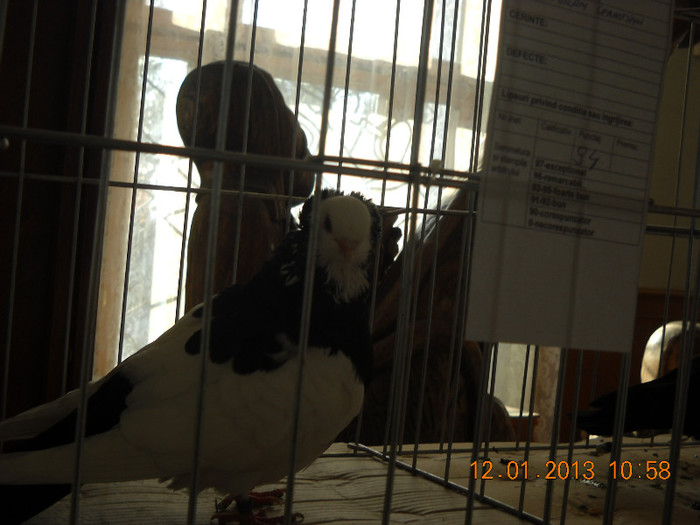 DSCN0516