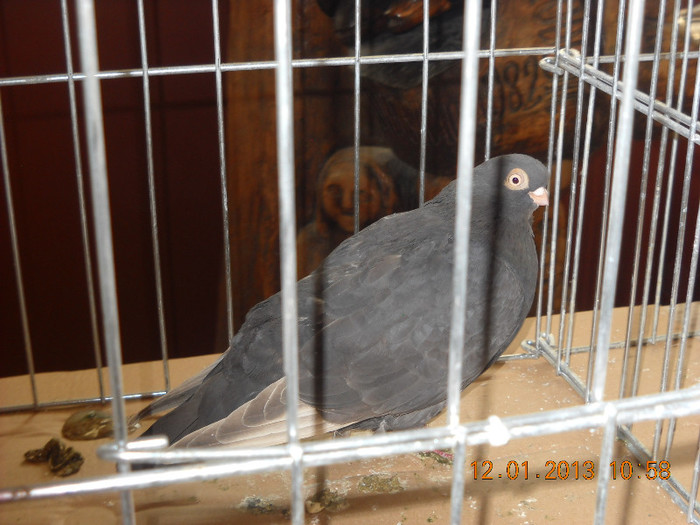 DSCN0519