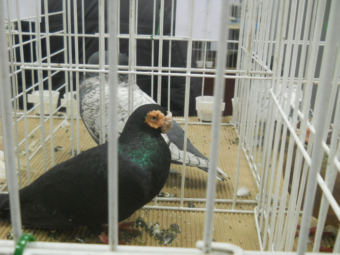 Picture 503