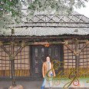 Elena_Gheorghe_1266587446_4