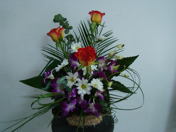 DSC09170