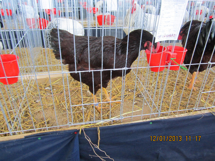Picture 092
