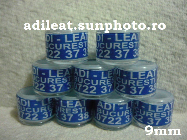 adileat.sunphoto.ro; INELE PERSONALE
