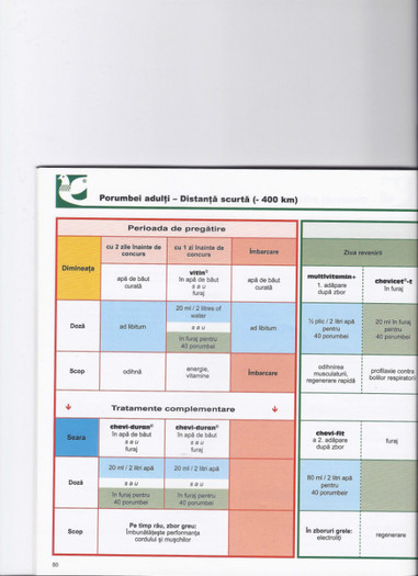 VDF part I - PROGRAM PREGATIRE PORUMBEI