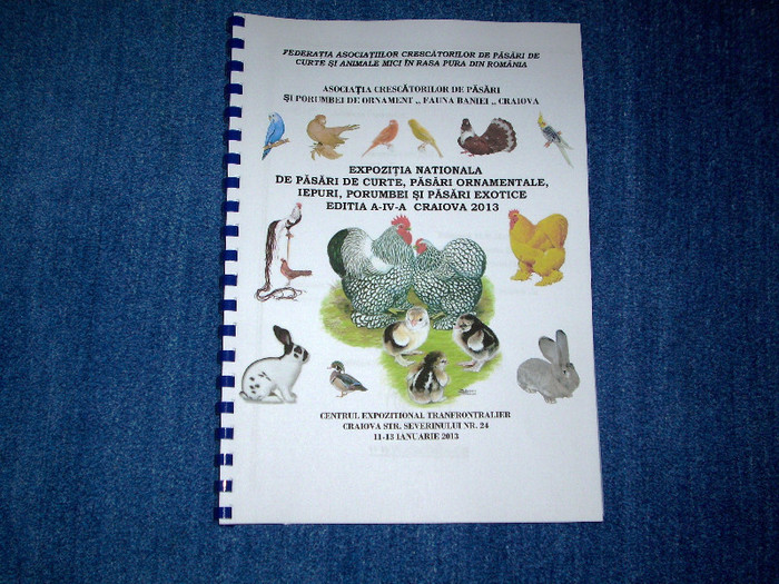 EXPO- AEO 2013 049 - Expozitia de gaini iepuri porumbei si pasari exotice -ianuarie 2013 Craiova