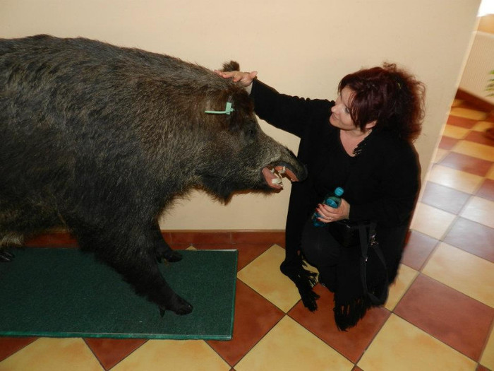 GHITA,TE-ASTEPT DISEARA....