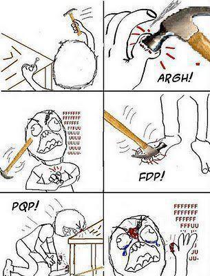 418688_251189531627892_1617960632_n